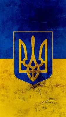 ГЕРБ УКРАИНЫ, 3Д, НАСТЕННЫЙ ДЕКОР, ТРИЗУБЕЦ, ГИПС. ОКРАС ФЛАГ УКРАИНЫ №2  (ID#1908135321), цена: 135 ₴, купить на 