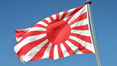 Флаг Японии с восходящим солнцем задел историческую память китайцев | ИА  Красная Весна