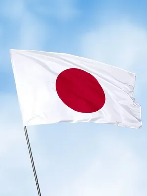 Флаг Японии японский 90х135 флаги стран мира на стену Заверните! 15116890  купить за 835 ₽ в интернет-магазине Wildberries
