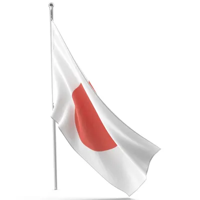 Флаг Японии: как выглядит, что обозначает, описание, символика и значение  цвета, история, фото