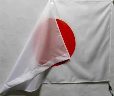 флаг японии круглый 3d значок PNG , Япония, флаг, значок PNG картинки и пнг  рисунок для бесплатной загрузки