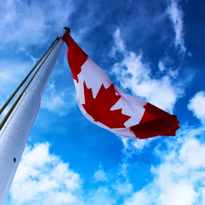 Флаг Канады, Лабрадора, флаги канадского полиэстера 90x150 см, флаг Канады  | AliExpress