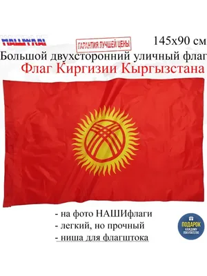 Флаг Кыргызстана пронесли на параде в Дубае — видео - , Sputnik  Кыргызстан