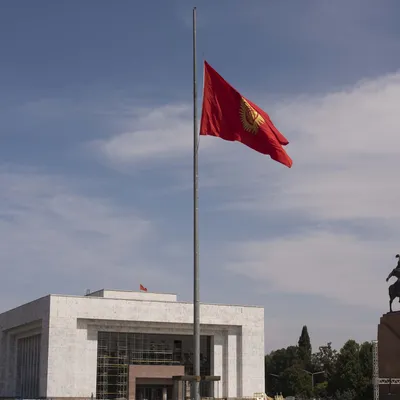 Попсокет с картинкой «Флаг Киргизии» — купить аксессуары для телефонов с  печатью Case Place