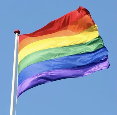 Американская учительница убрала из класса американский флаг и призвала  детей присягнуть флагу секс-меньшинств