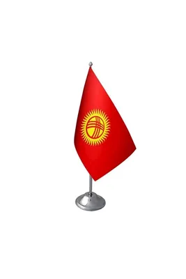 Вспомним о флаге Кыргызстана — Precedentinfo