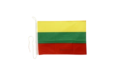 Литовский флаг полиэстер, Флаг Литвы 150х90 см, Lithuanian flag  (ID#1933571329), цена: 399 ₴, купить на 