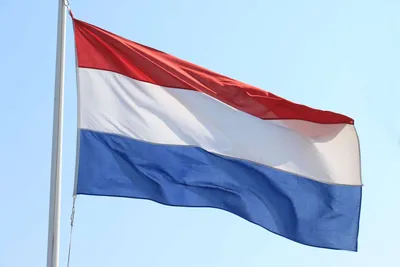 Флаг Нидерландов Нидерланды - Бесплатная векторная графика на Pixabay -  Pixabay
