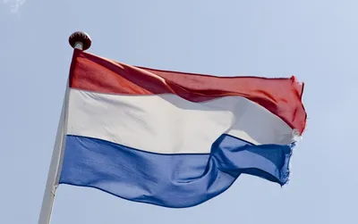 Флаг Голландии Нидерландов на стену 90х135 флаги стран мира Заверните!  16045976 купить за 835 ₽ в интернет-магазине Wildberries