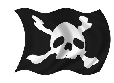 Пиратский флаг Череп с Саблями купить и заказать 