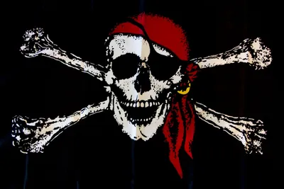 Флаг пиратов флаг пирата Джелли Роджера 3x5 футов полиэфир односторонняя  печать внутреннее наружное украшение висячий баннер | AliExpress