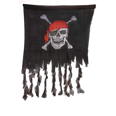 Пиратский Флаг 45х30см с пластиковой ручкой №1 10583-07 купить в интернет  магазине Podaroktut Киев, Украина по лучшей цене