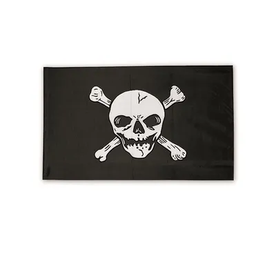 Флаг пиратский с Весёлым Роджером купить недорого в интернет-магазине  Остров Сокровищ в Санкт-Петербурге