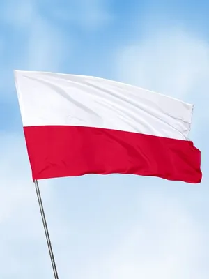 Флаг Польши большой на стену 90х135 флаги стран мира Заверните! 15116884  купить за 835 ₽ в интернет-магазине Wildberries