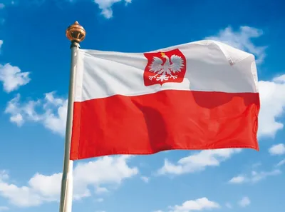 2 мая отмечается День флага Республики Польша - Русская редакция -  