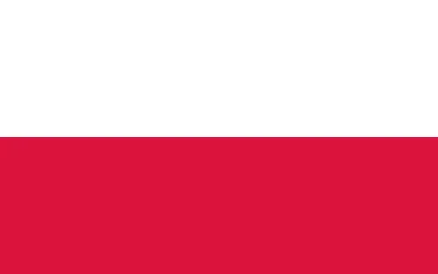Наемники попытались поднять флаг Польши на украинской позиции | Аргументы и  факты –  | Дзен