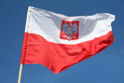 Флаг Польши: как выглядит и что означает символ республики, история