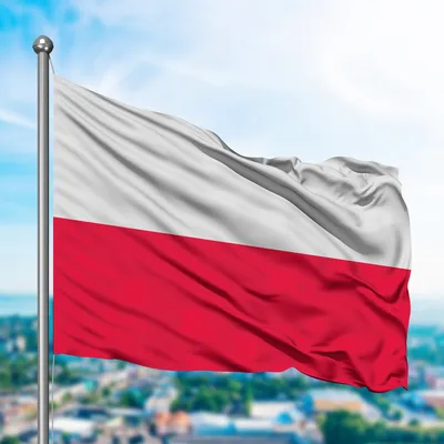 Флаг Польши купить - заказать, купить в Минске в интернет-магазине, цена,  доставка по РБ