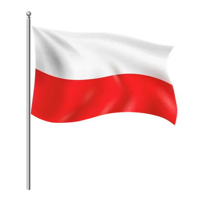 Флаг Республики Польша, флаг с орлом, флаги белого и красного цвета,  европейские внутренние и наружные флаги 90*150 см, флаги Польши, украшение  для дома | AliExpress
