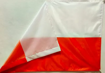 Нашивка, патч, шеврон "Флаг Польши" 60x40mm PTC101 - купить с доставкой по  выгодным ценам в интернет-магазине OZON (356494133)