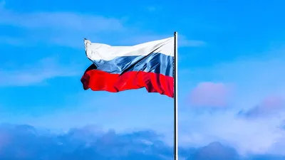 Флаг Российской Федерации/ Флаг России/ Флаг РФ - купить Флаг по выгодной  цене в интернет-магазине OZON (564558023)