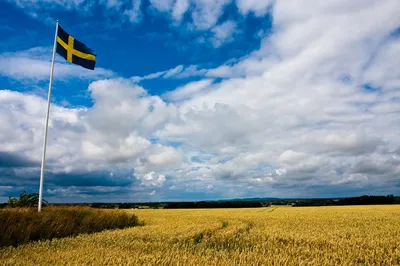 Göteborgs-Posten (Швеция): шведский флаг — проблемный символ | ,  ИноСМИ