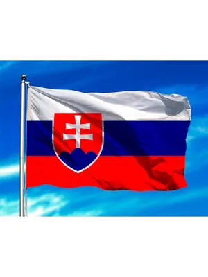 Нашивка флаг Словакии 6х4 см - купить с доставкой по выгодным ценам в  интернет-магазине OZON (847473733)