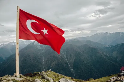 Плохой знак для Кремля: флаг Турции уже на Донбассе - | Диалог.UA