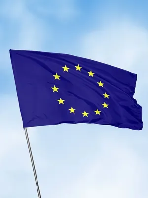 Флаг ЕС Евросоюза на стену большой 90х135 флаги стран мира Заверните!  16045978 купить за 835 ₽ в интернет-магазине Wildberries