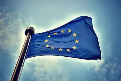 Заместитель Марин Ле Пен назвал флаг Евросоюза олигархической тряпкой