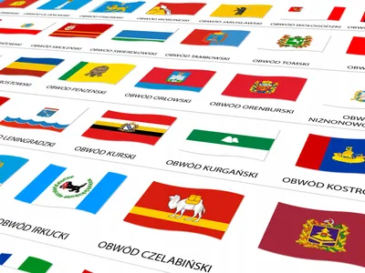 Флаги, каких стран мира похожи друг на друга | Интересные факты обо всем на  свете | Дзен