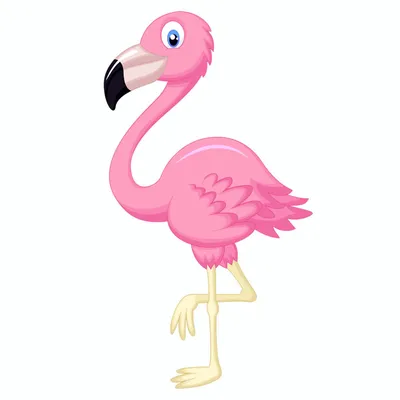 Фламинго — раскраски для детей скачать онлайн бесплатно