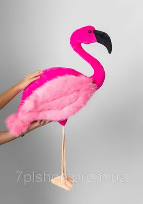 Flamingo coloring page | Coloring books for children 3, 4, 5, 6, 7, 8 years  old: 11 coloring pages