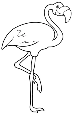 Flamingo coloring page | Coloring books for children 3, 4, 5, 6, 7, 8 years  old: 11 coloring pages