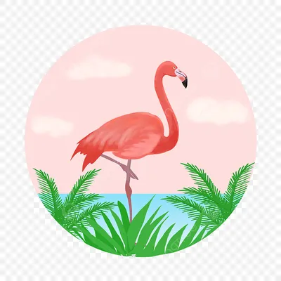 рисованные картинки фламинго - Поиск в Google | Flamingo, Flamingo vector,  Rock crafts
