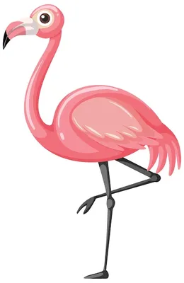 Розовый фламинго — Википедия