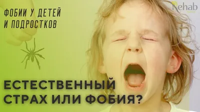 Страхи и фобии: помощь психолога при страхах и фобиях (психотерапия) в Киеве