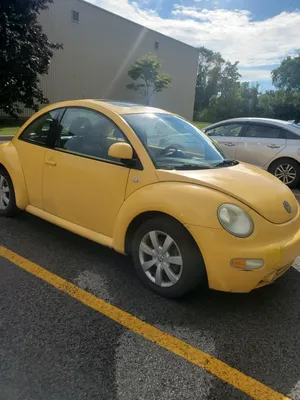 My Mom Finally Got Her Beetle