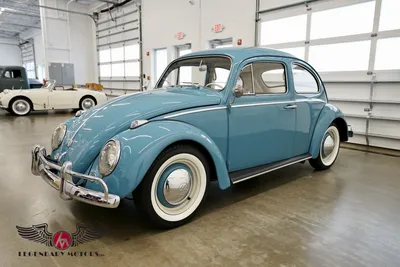 Beetle | Volkswagen Newsroom