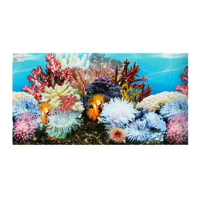 Фон для аквариума плотный, двухсторонний №2 с высотой 60 см (ID#968549062),  цена: 109 ₴, купить на 