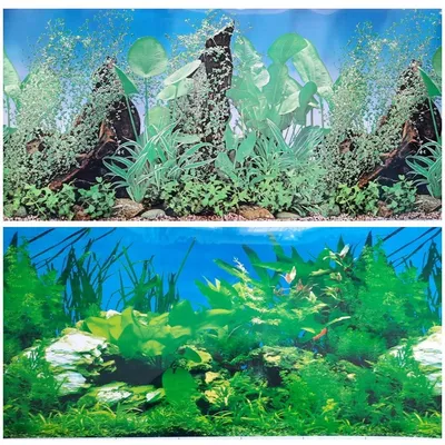 Фон для аквариума "Камни" высота 60см, цена за 1м купить в Минске в Золотой  Акуле