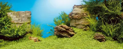 Фон для аквариума Декорации Подводные пещеры 50x75см - купить с доставкой  по выгодным ценам в интернет-магазине OZON (880767272)
