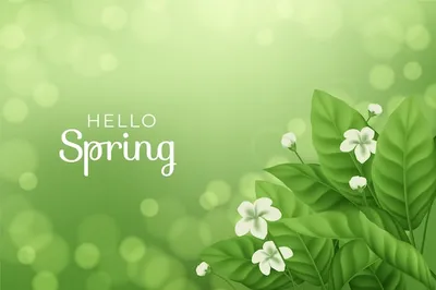 весна-цветы-обои-розовый-цветущий-цветы-телефон-обои-синий-фон | Spring  wallpaper, Flower phone wallpaper, Art wallpaper