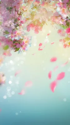 Скачать обои цветы, фон, весна, тюльпаны, flowers разрешение 640x960 #88691