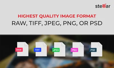 PNG vs JPG: which format is better for your website?