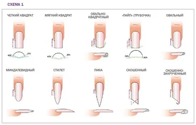 Формы ногтей и их названия