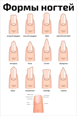 Формы ногтей для маникюра 2024–2025: фото, какие бывают, как выбрать