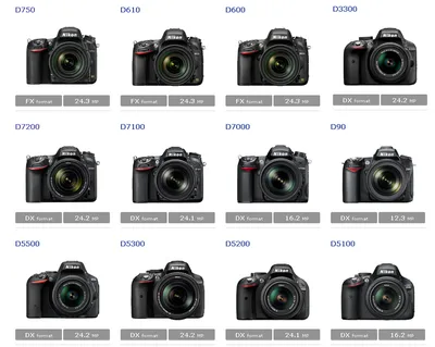 Nikon Z7 Body купить в Минске, цена | 