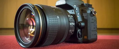 Nikon D3500: неделя с экспертом