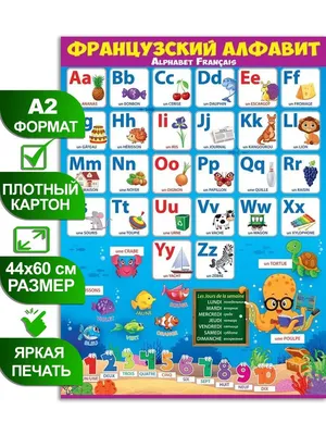 Обучающий плакат "Французский алфавит", формат А2, 45х60 см, картон -  купить с доставкой по выгодным ценам в интернет-магазине OZON (659326048)